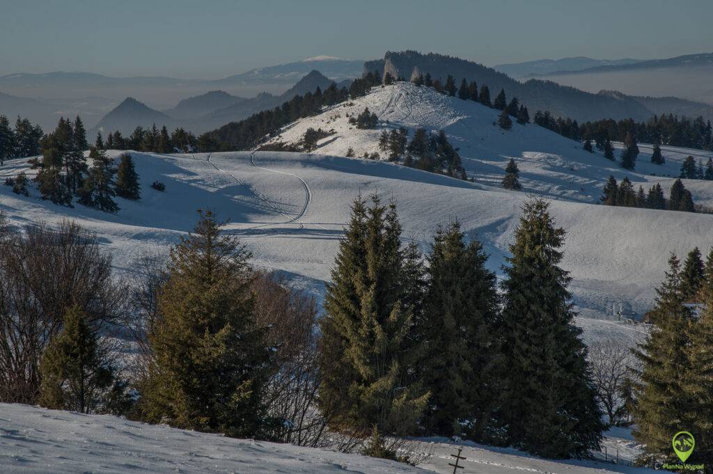 Wysoki Wierch Pieniny panorama ze szczytu