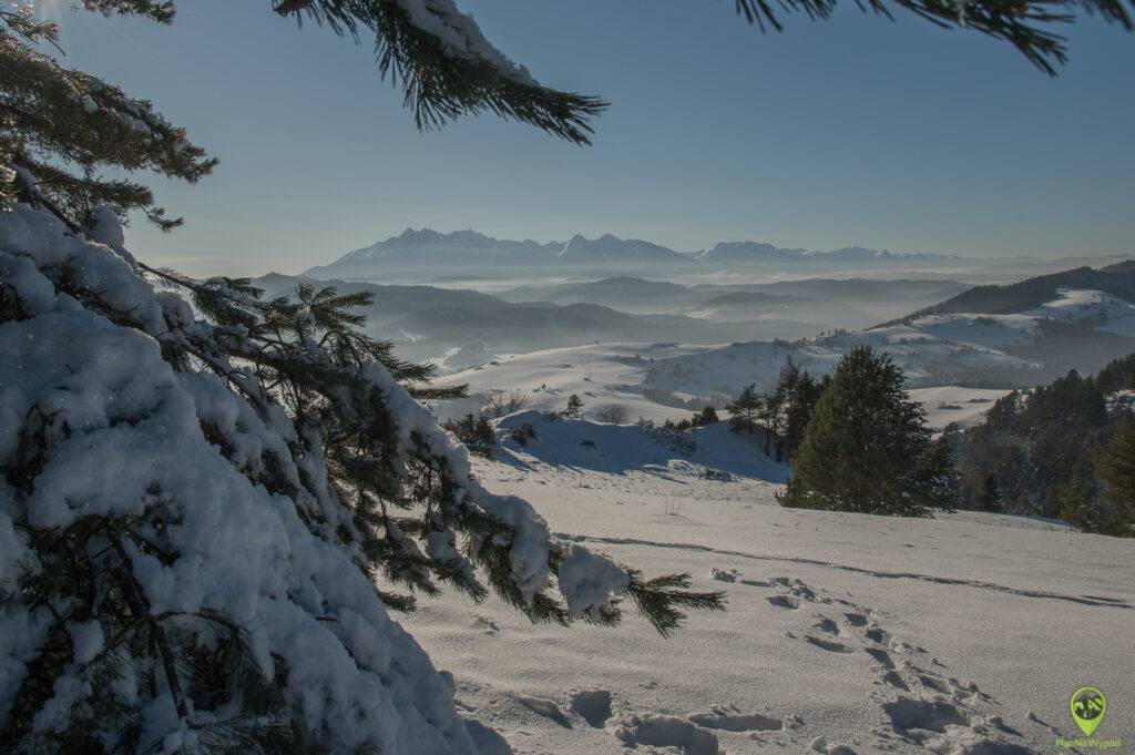 Wysoki Wierch Pieniny panorama ze szczytu