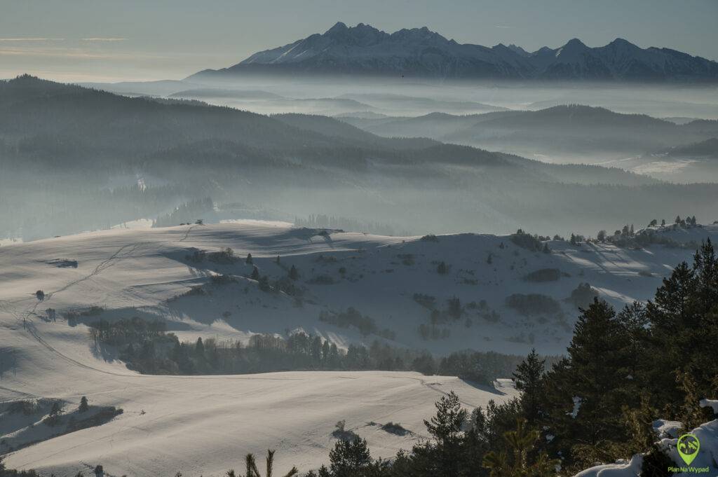 Wysoki Wierch Pieniny panorama ze szczytu