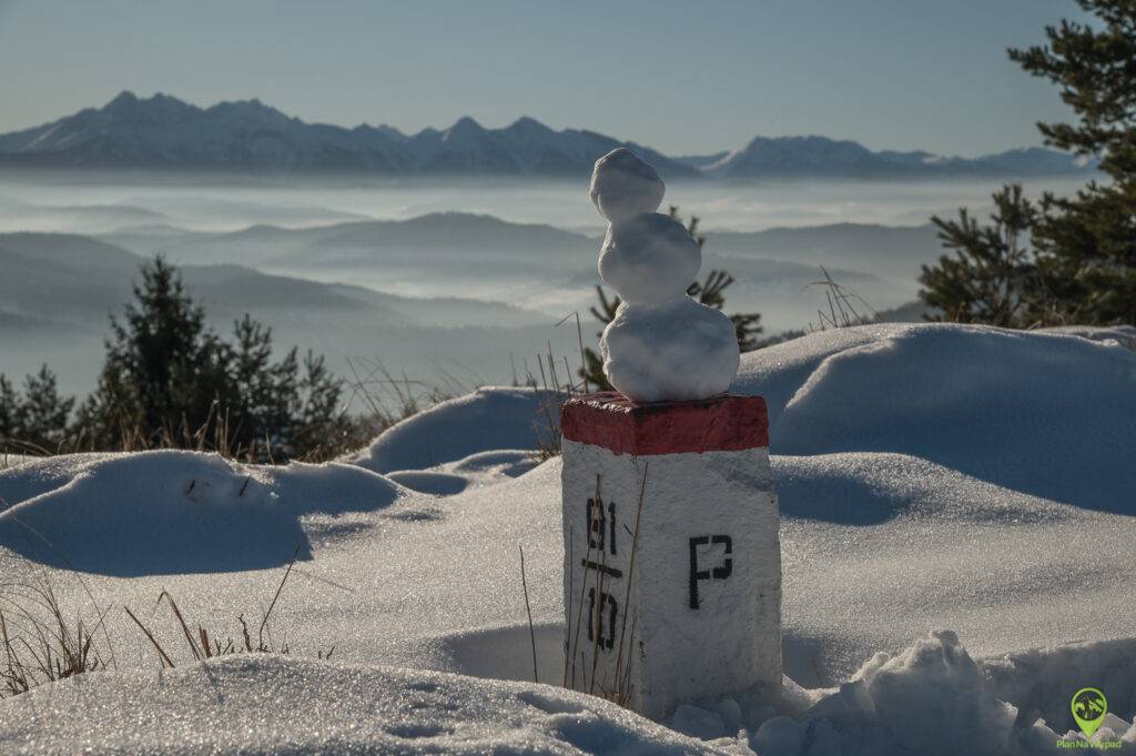 Wysoki Wierch Pieniny panorama ze szczytu