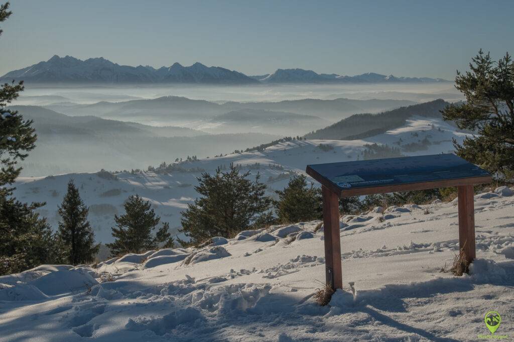 Wysoki Wierch Pieniny panorama ze szczytu