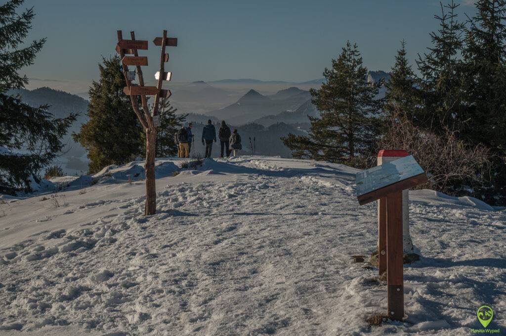 Wysoki Wierch Pieniny panorama ze szczytu