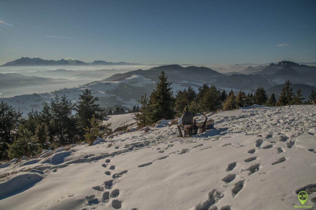 Wysoki Wierch Pieniny panorama ze szczytu