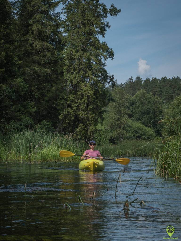 Czarna Hańcza spływ kajakiem