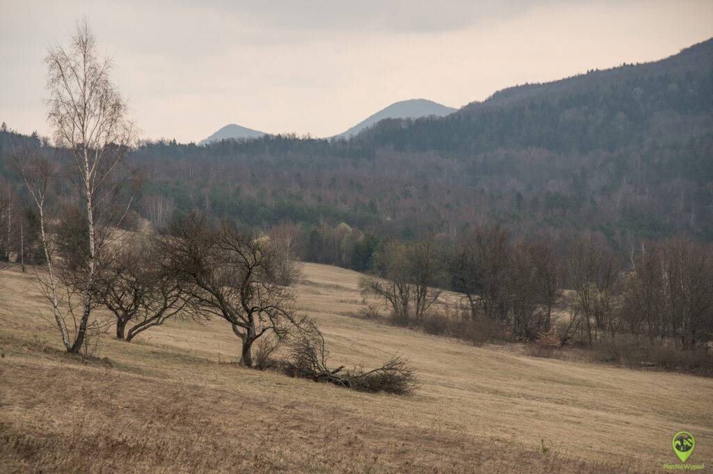 szlak na Lackową