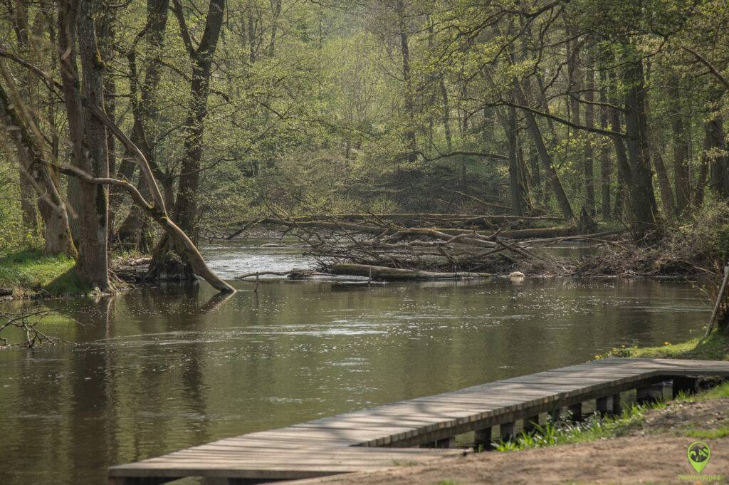 Rzeka Drawa
