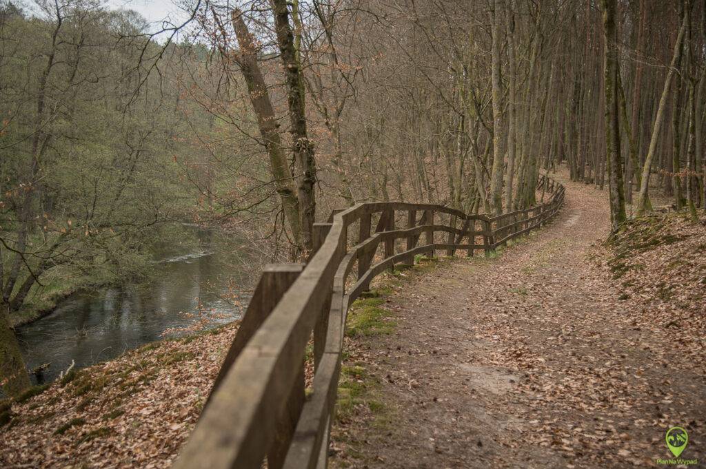Rzeka Drawa
