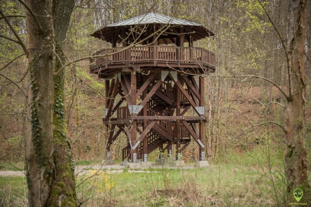Drawieński Park Narodowy atrakcje
