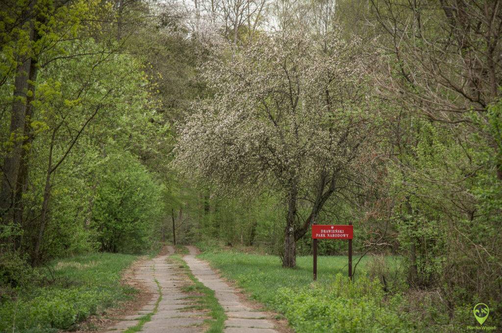 Drawieński Park Narodowy atrakcje