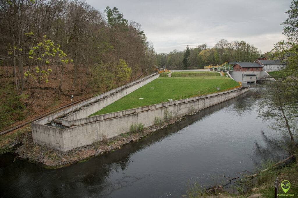 Drawieński Park Narodowy atrakcje