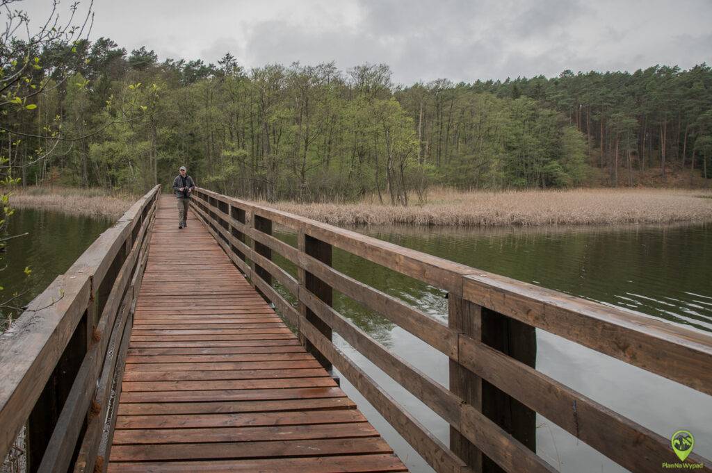 Drawieński Park Narodowy atrakcje