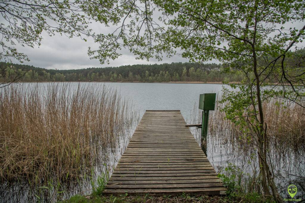 Drawieński Park Narodowy atrakcje