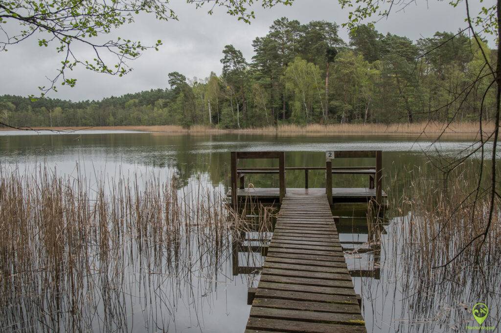 Drawieński Park Narodowy atrakcje