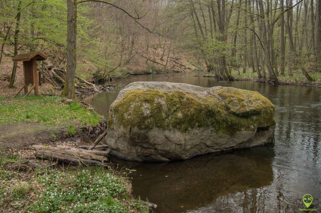Drawieński Park Narodowy atrakcje