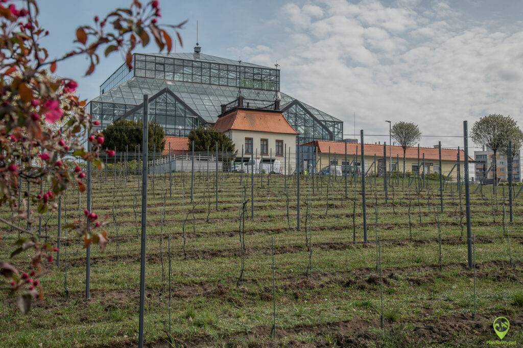 Zielona Góra atrakcje