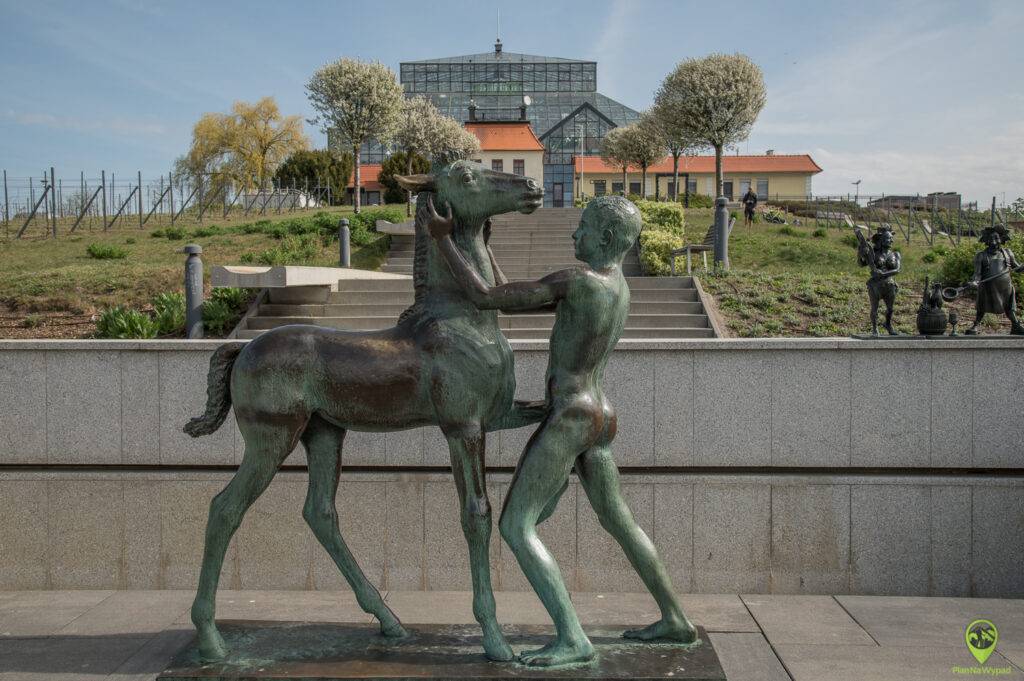 Zielona Góra atrakcje