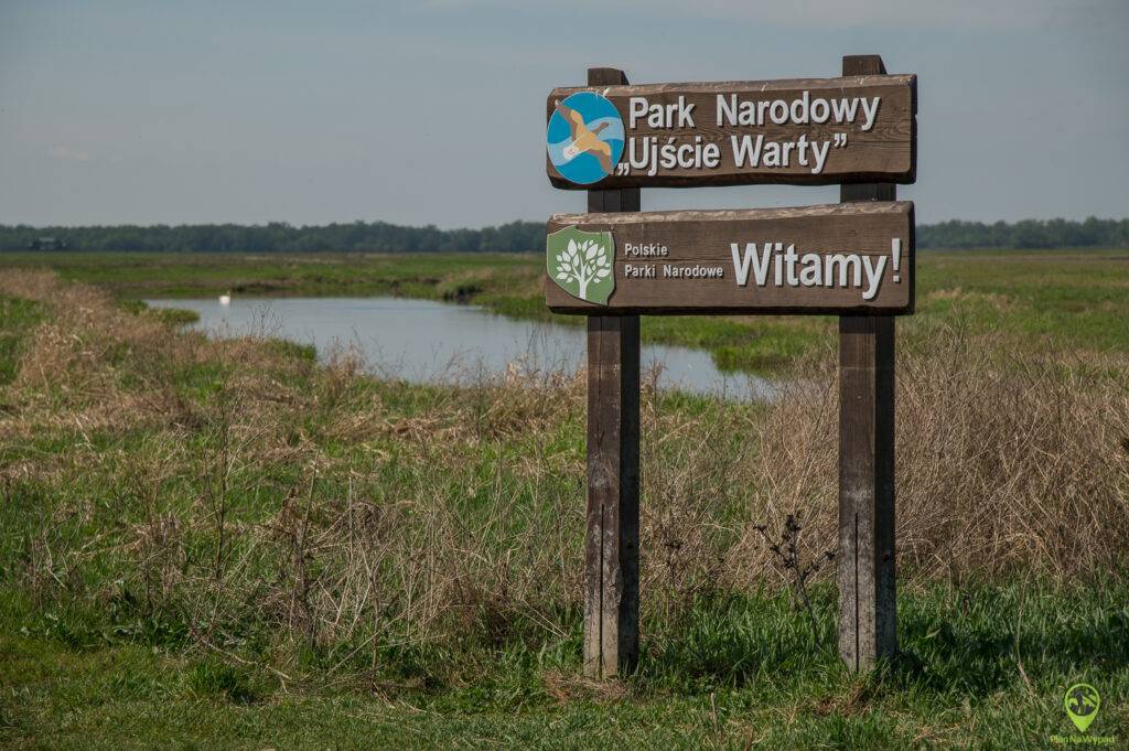 Park Narodowy Ujście Warty