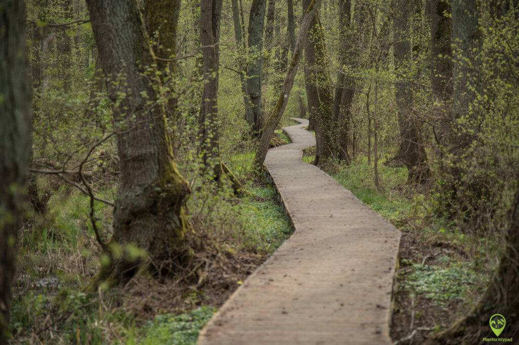 Park Narodowy Ujście Warty