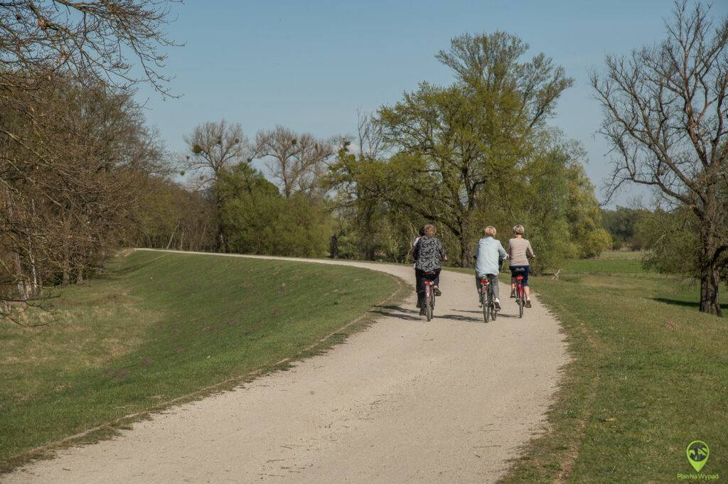 Park Narodowy Ujście Warty