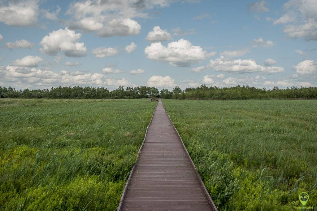 Biebrzański Park Narodowy