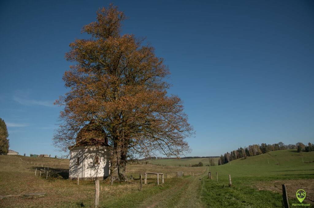 Krizovy vrch Góry Stołowe
