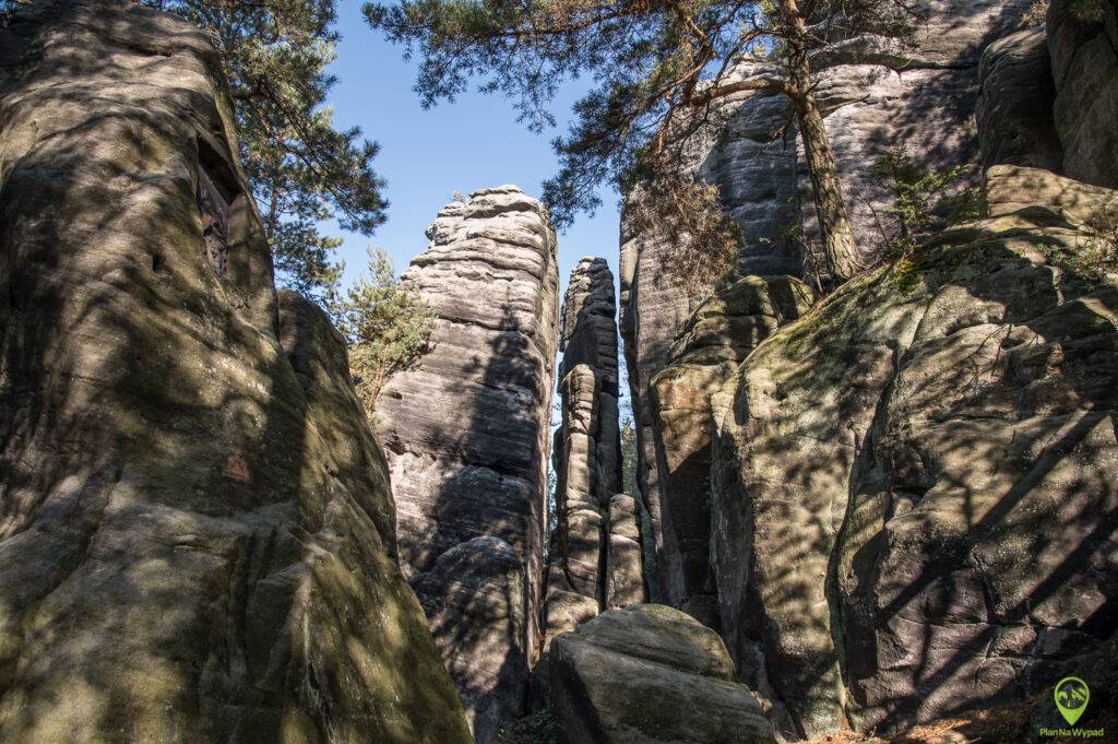 Krizovy vrch Góry Stołowe