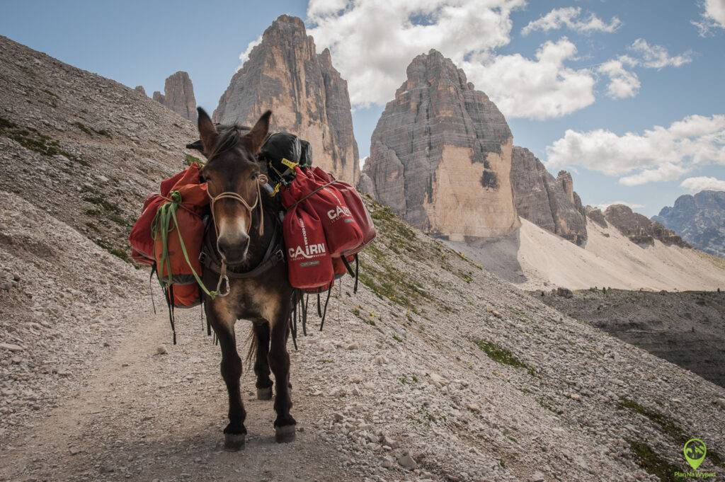 Tre Cime