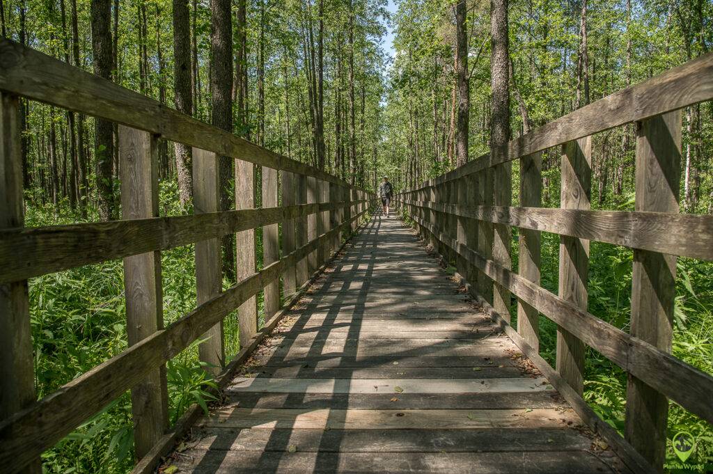 Biebrzański Park Narodowy