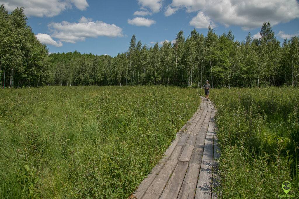 Biebrzański Park Narodowy