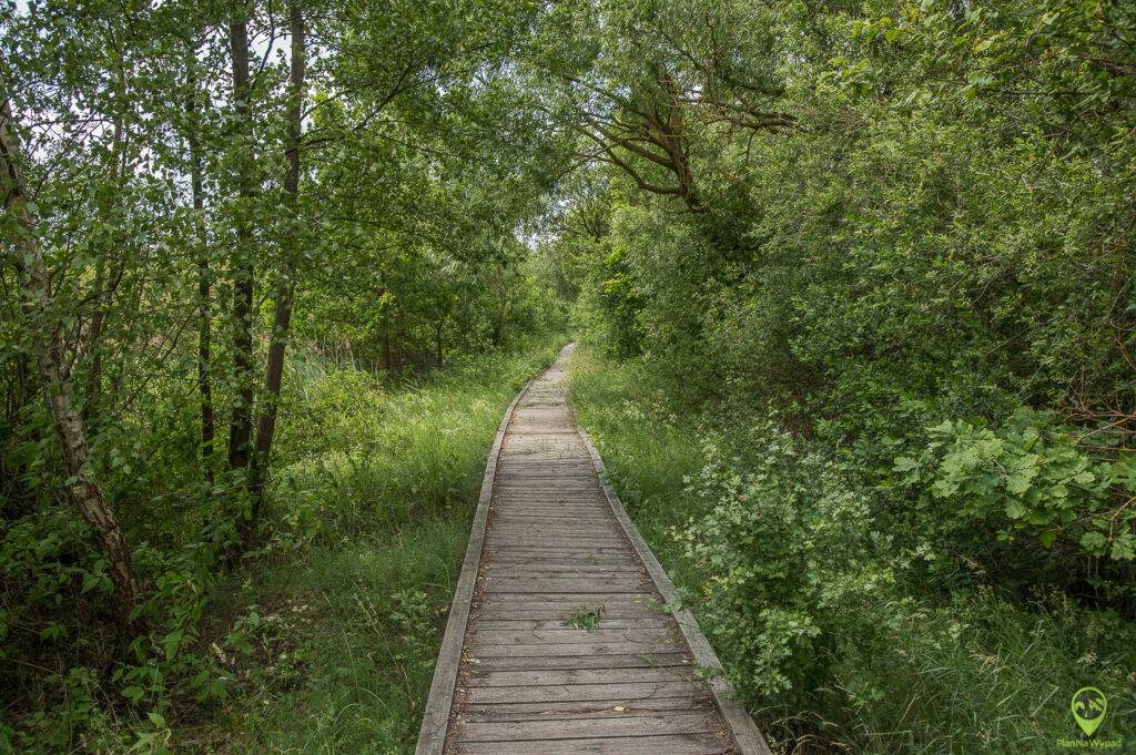 Biebrzański Park Narodowy