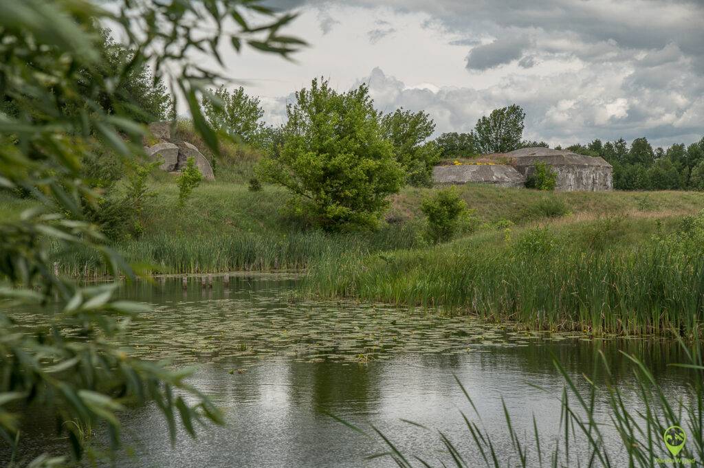Biebrzański Park Narodowy