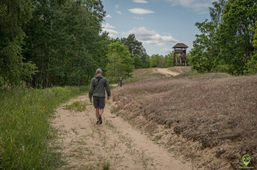 Biebrzański Park Narodowy