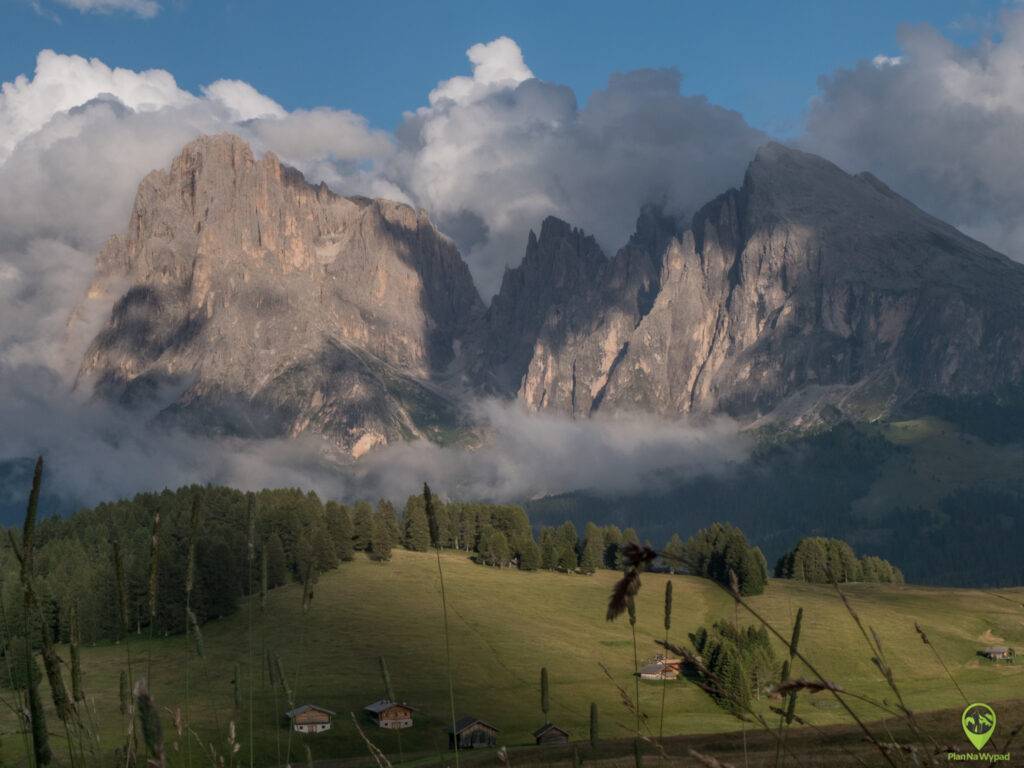 Alpe di Siusi