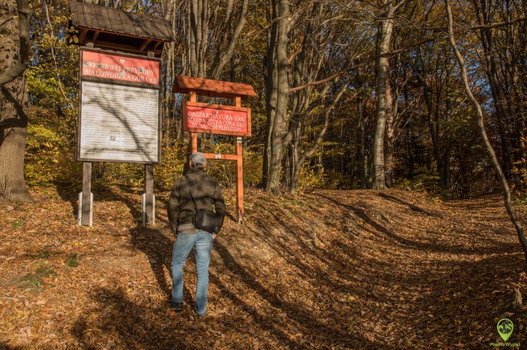 Białowodzka Góra