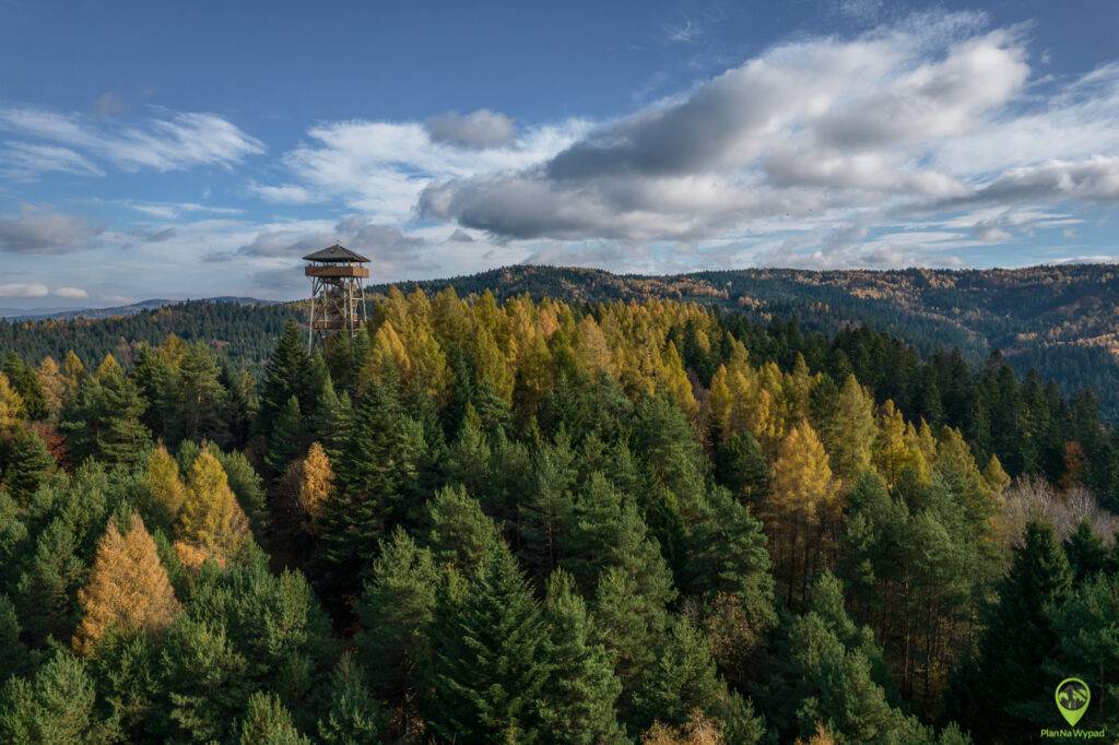 wieża na Malniku w Muszynie