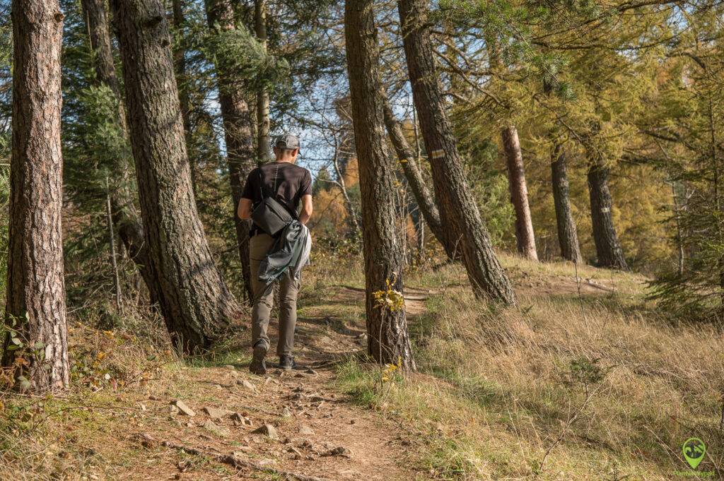 wieża na Malniku w Muszynie