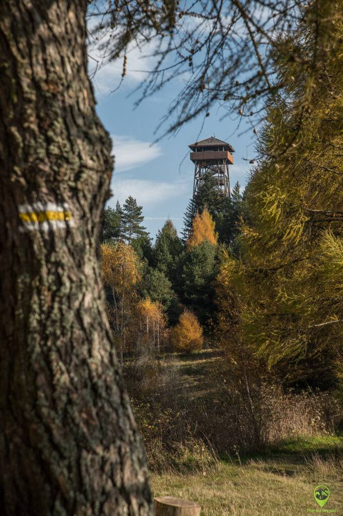wieża na Malniku w Muszynie