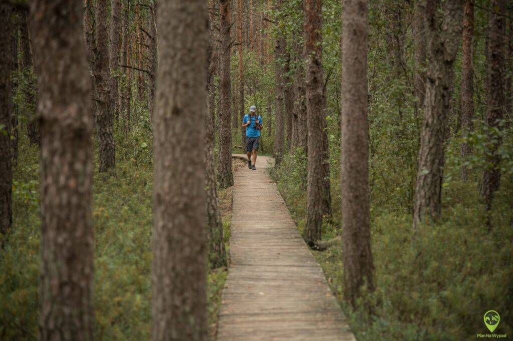 Poleski Park Narodowy