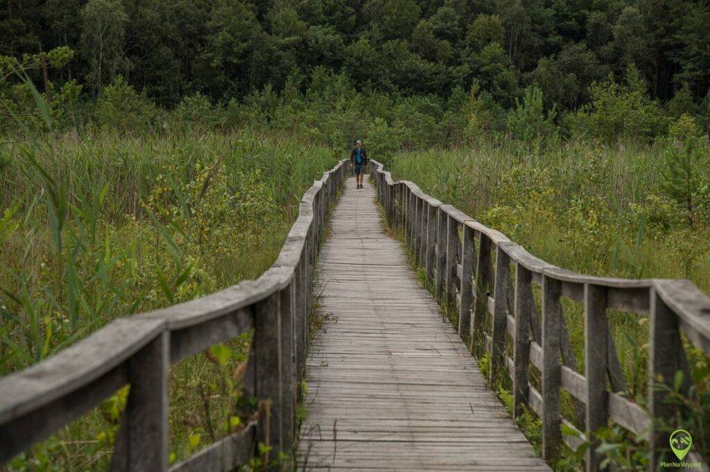 Poleski Park Narodowy