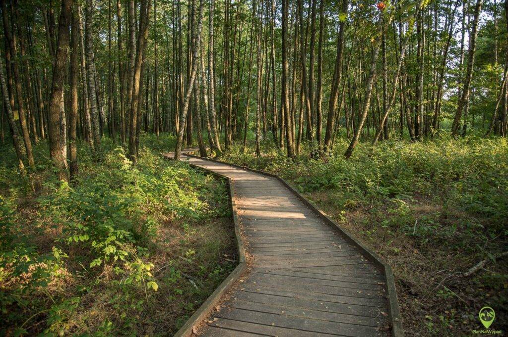 Poleski Park Narodowy