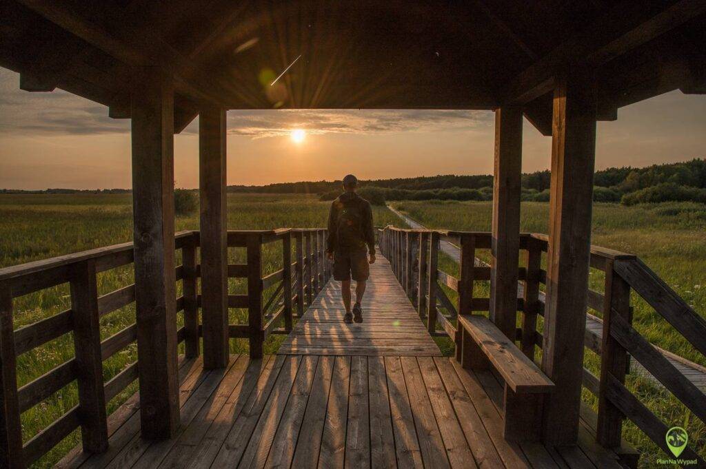 Poleski Park Narodowy