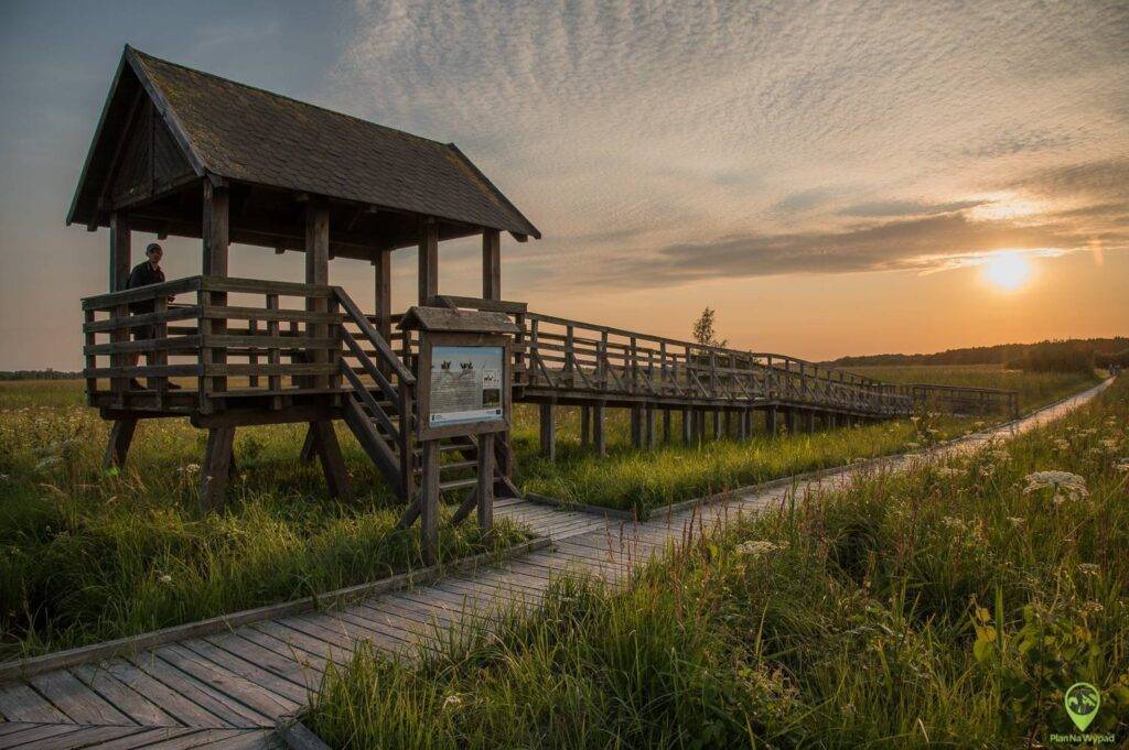 Poleski Park Narodowy