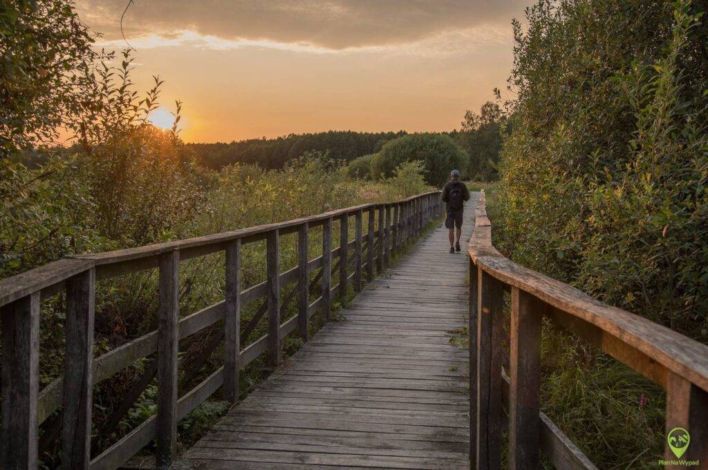 Poleski Park Narodowy