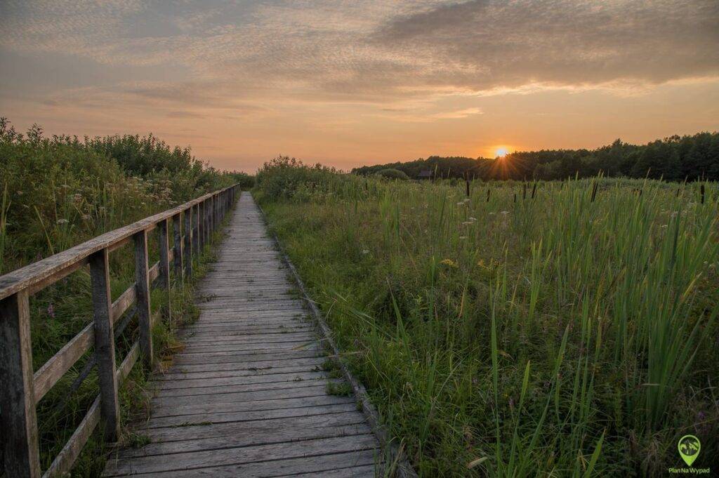 Poleski Park Narodowy