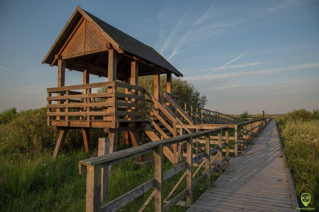 Poleski Park Narodowy