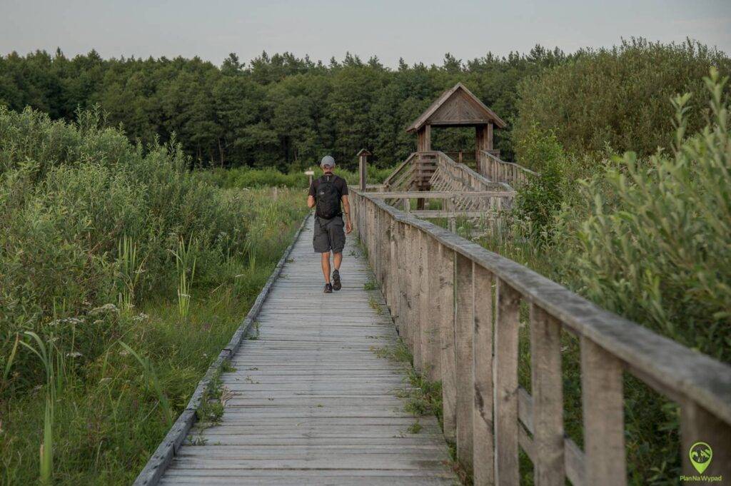 Poleski Park Narodowy