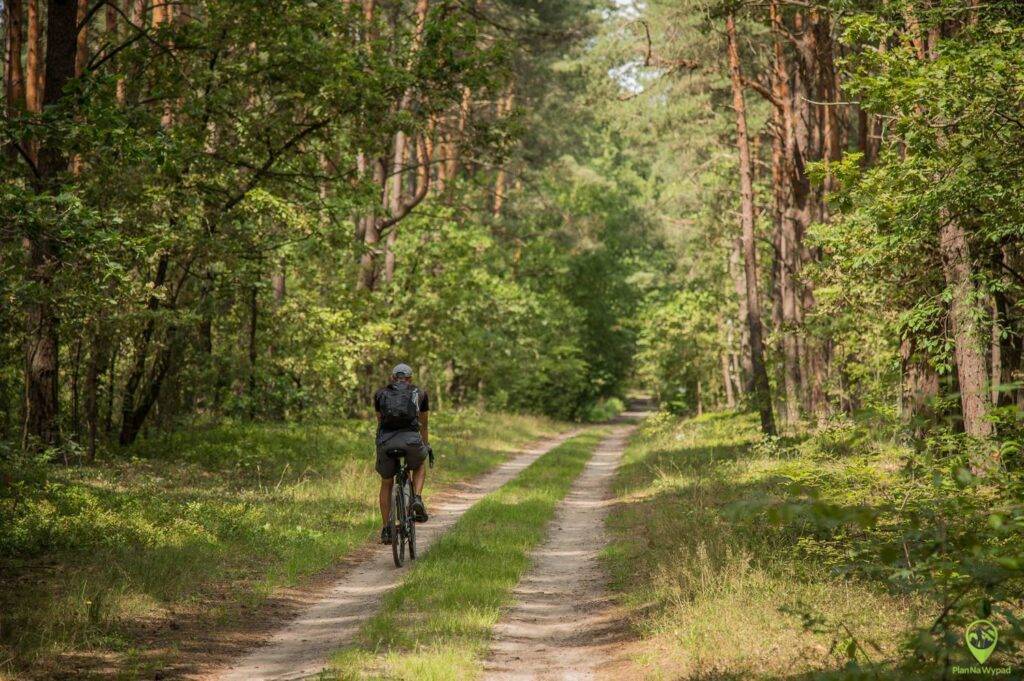 Poleski Park Narodowy