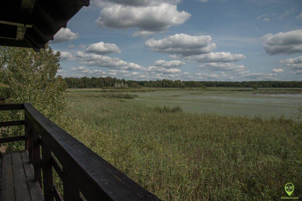 Poleski Park Narodowy