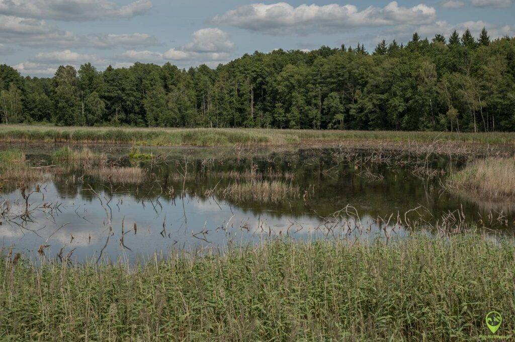 Poleski Park Narodowy