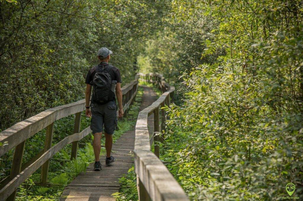 Poleski Park Narodowy